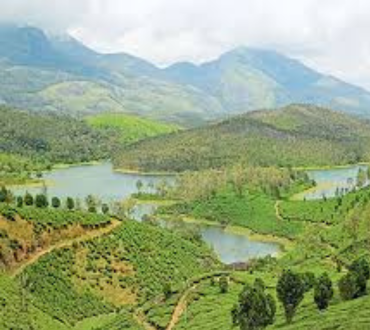 Talk About the Three Major Types of Floor Tiles