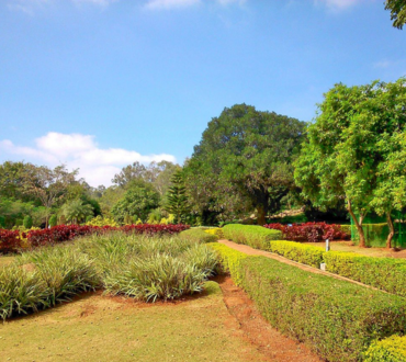 Talk About the Three Major Types of Floor Tiles