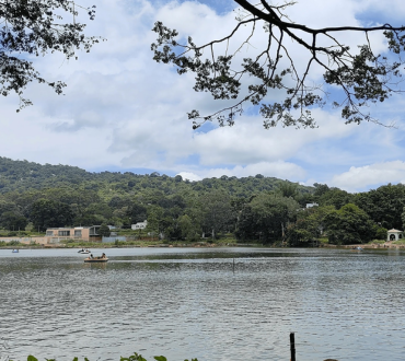 Talk About the Three Major Types of Floor Tiles