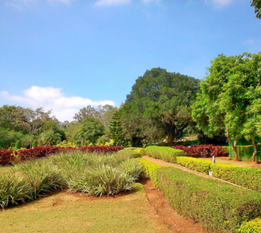 Talk About the Three Major Types of Floor Tiles